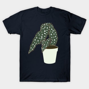 Begonia Maculata Plant – Mint Pot T-Shirt
